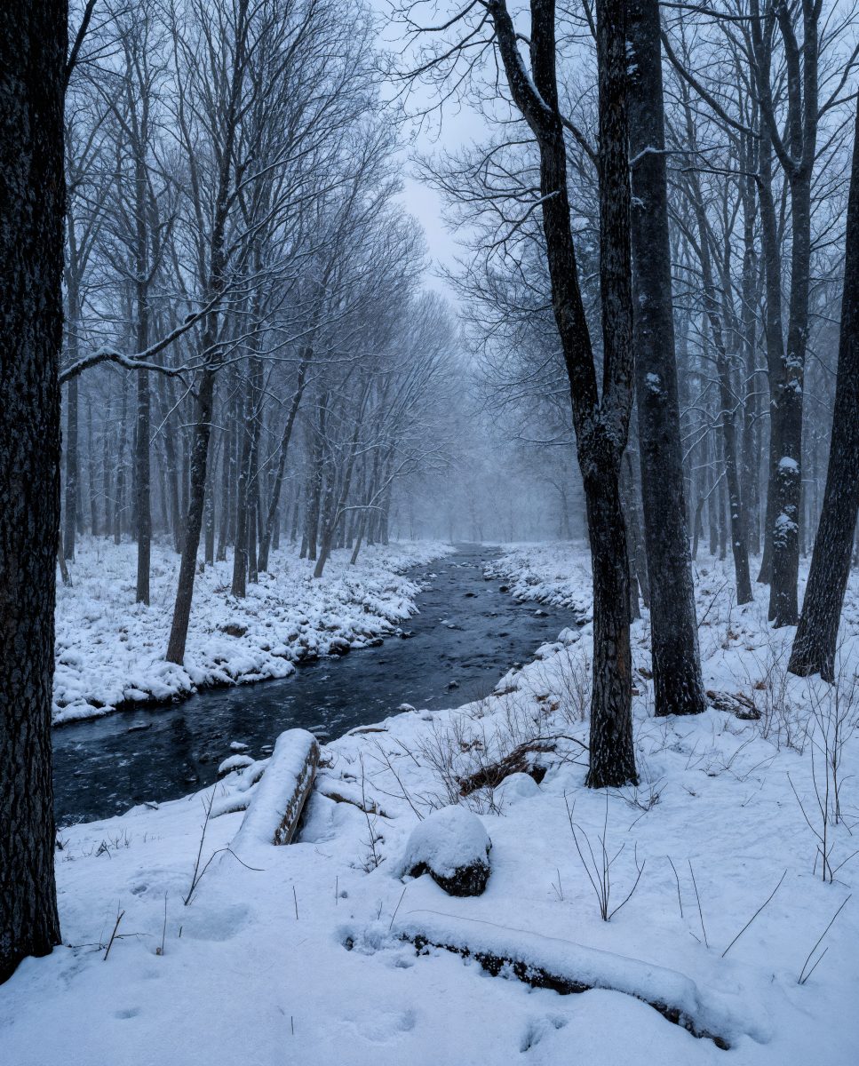 Serene Winding Stream in a Snow-Covered Winter Forest at Dawn