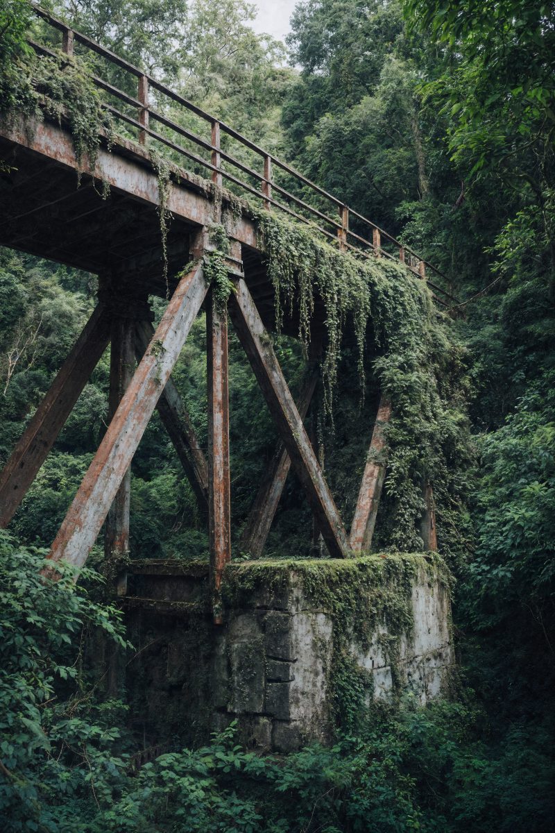 Abandoned Railway Bridge Hidden in the Jungle