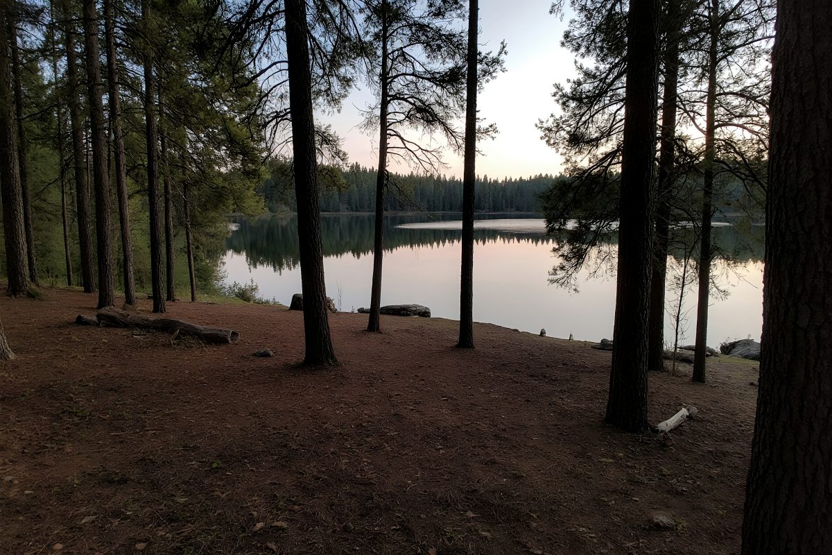 Peaceful Lakeside Campsite in Pine Forest at Dusk