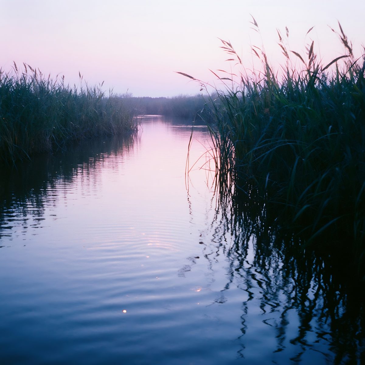 Serene Marshland Waterway at Twilight