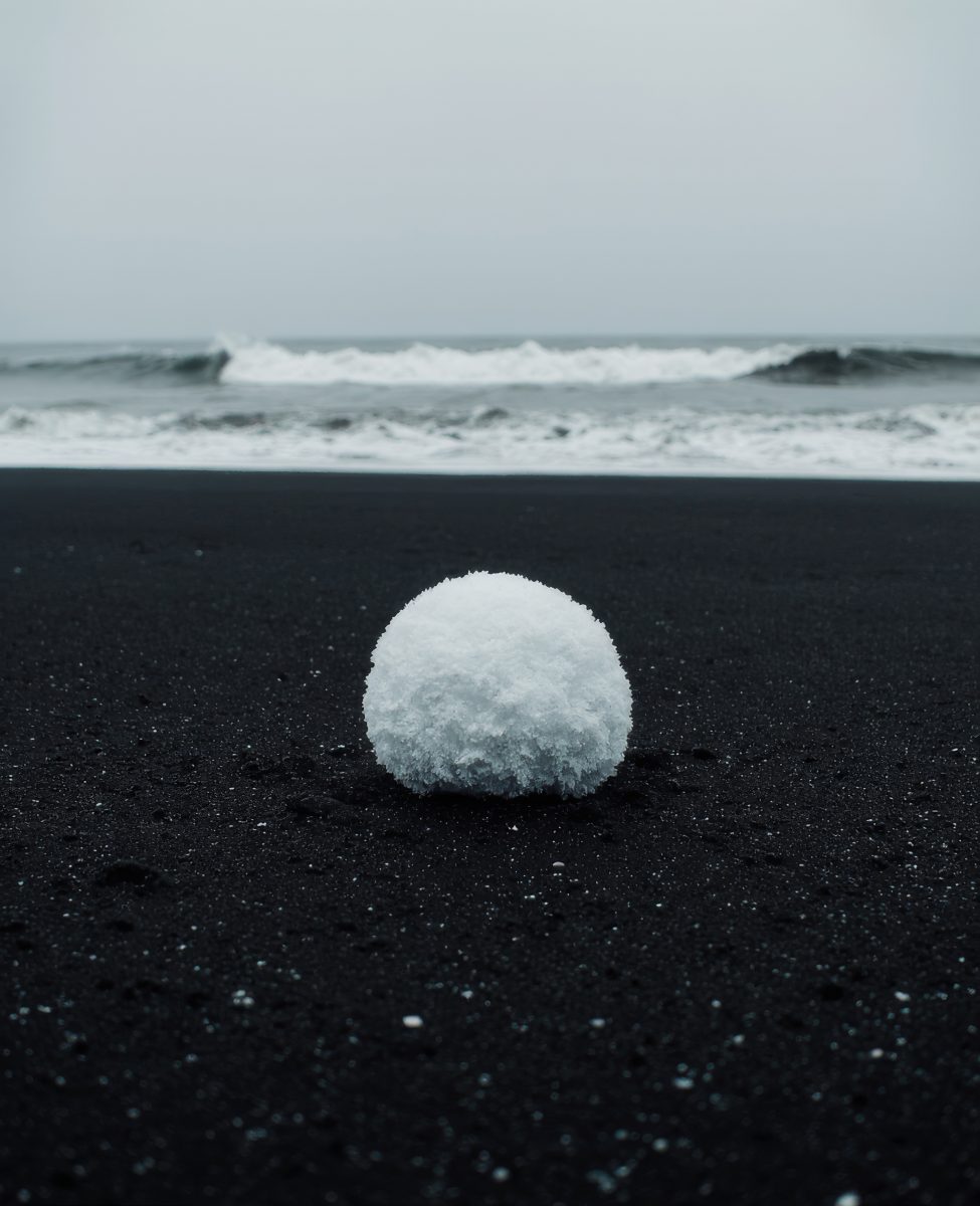 Perfect White Snowball on a Volcanic Black Sand Beach