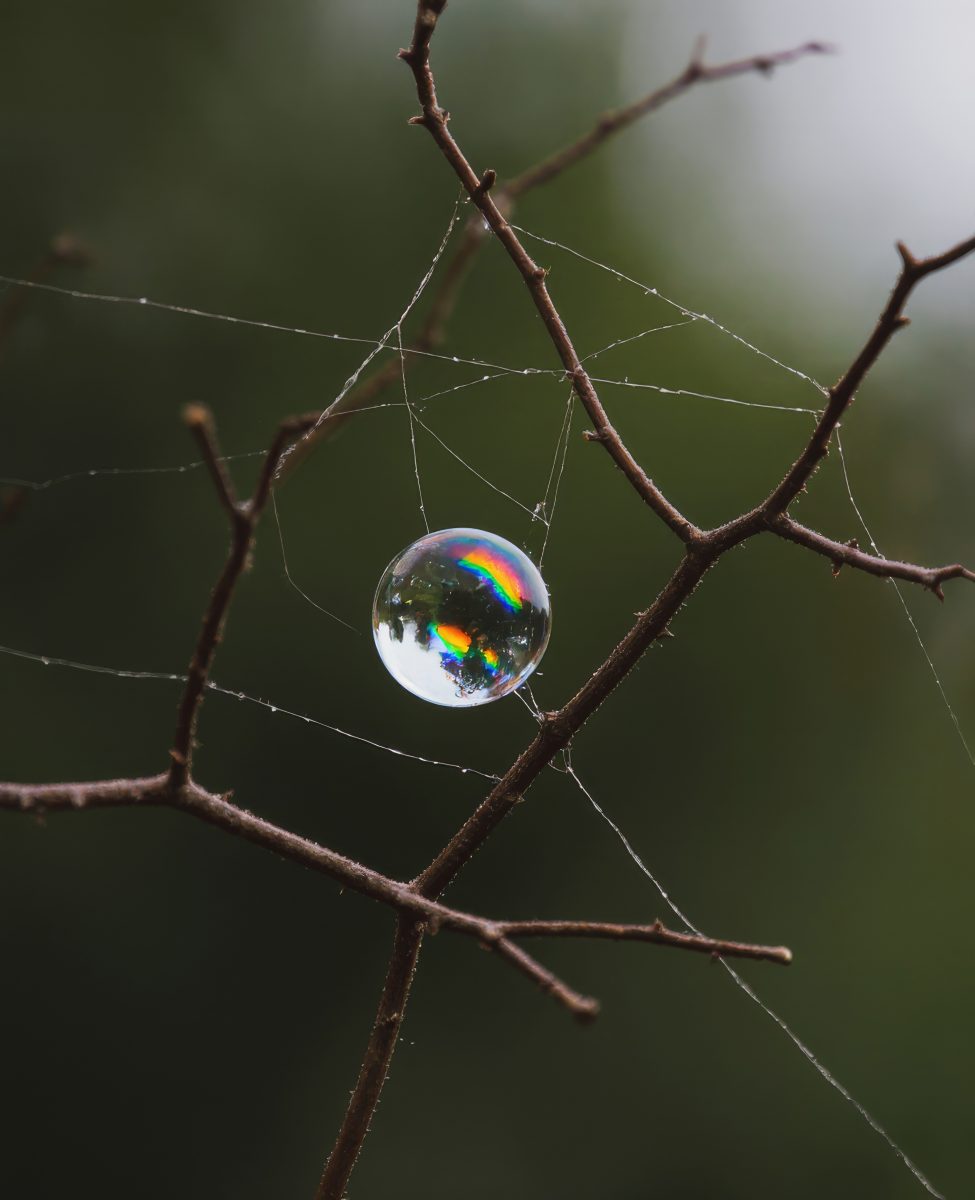 Rainbow Reflection in a Raindrop on a Spider Web